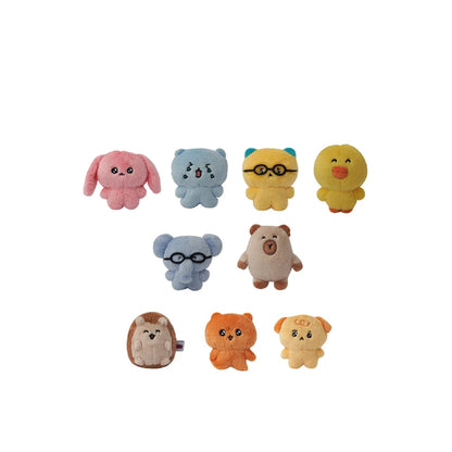 [CHOIGOSIM] 10cm Friends Plush keyring