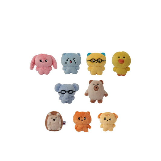 [CHOIGOSIM] 10cm Friends Plush keyring